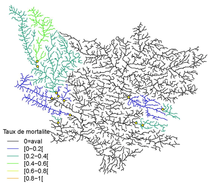 Taux de mortalite.png