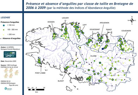 Resultats IAang classe taille 11.09.jpg