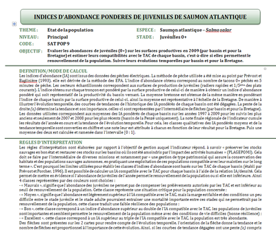 Exemple fiche indicateur.png