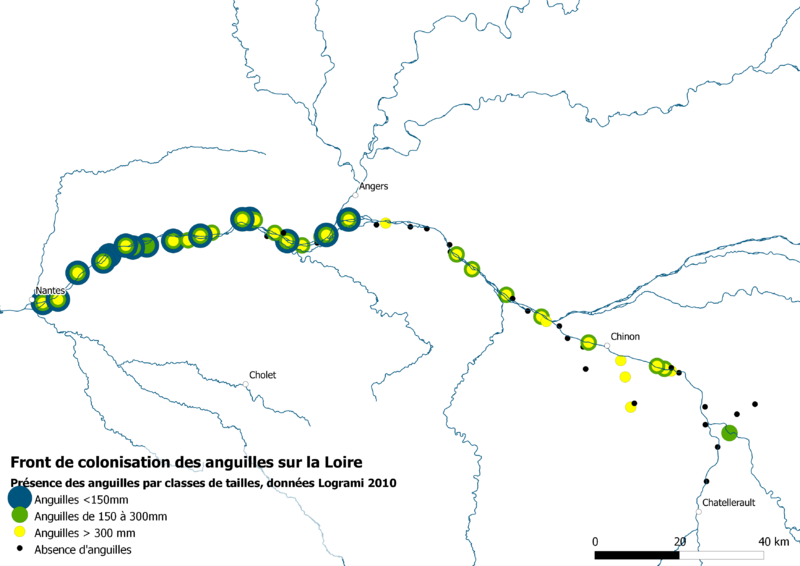 Fichier:FC Ang Loire 2010.png