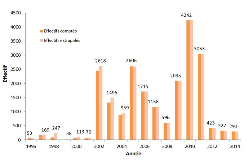 Fichier:Migration interannuelle alose.png